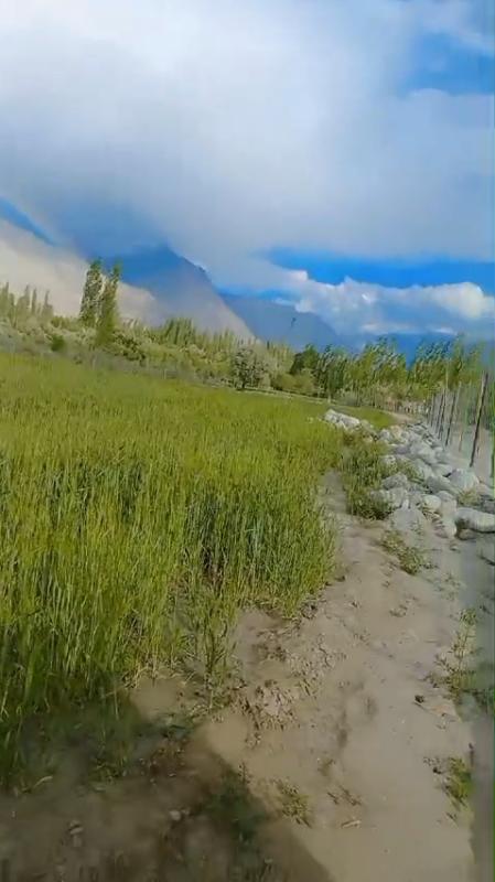 10 Kanal Agriculture Plot for sale in Skardu, Shigar Baltistan