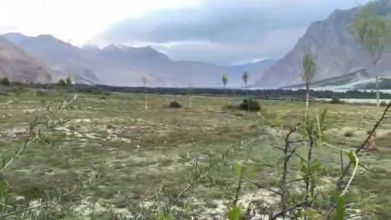 10 kanal Agriculture Plot for sale in Skardu, Shigar Baltistan