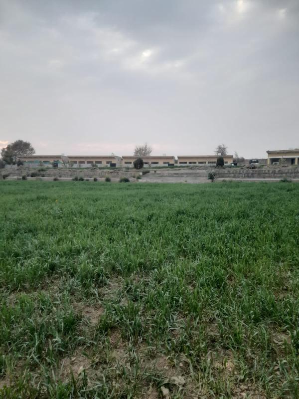 Farmhouse For sale  in Islamabad C-16