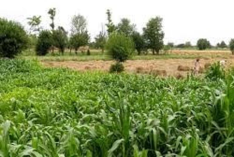 5 marla plot for sale in LDA City Phase 1 lahore 