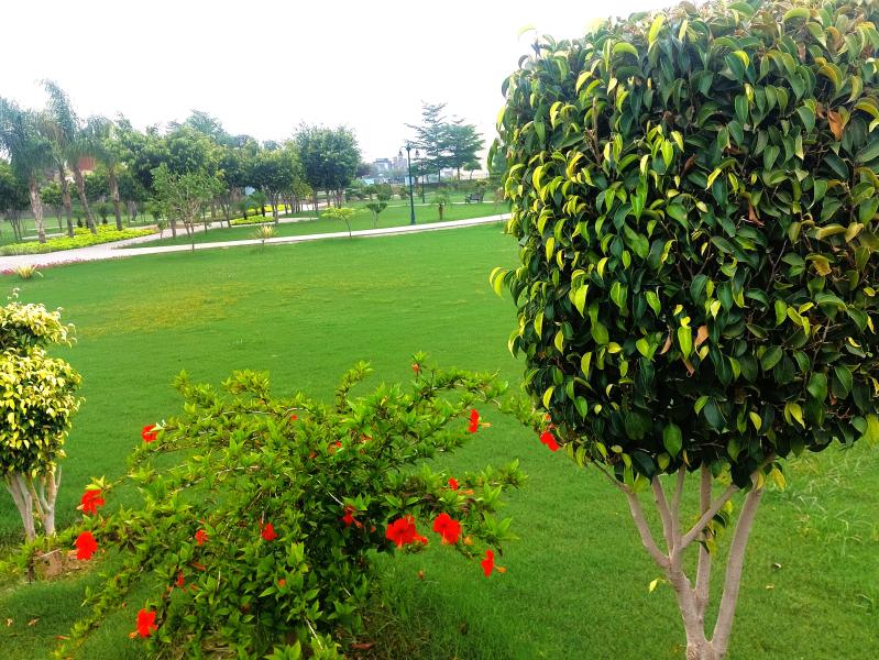 Beautiful Plot Very Super Hot Location in DHA  Rahber 11 Sector 1
