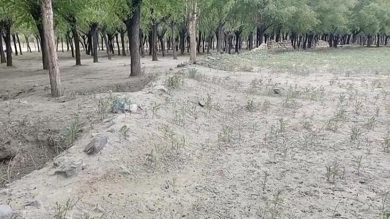 Agriculture Plot for Sale in Skardu, Airport Road