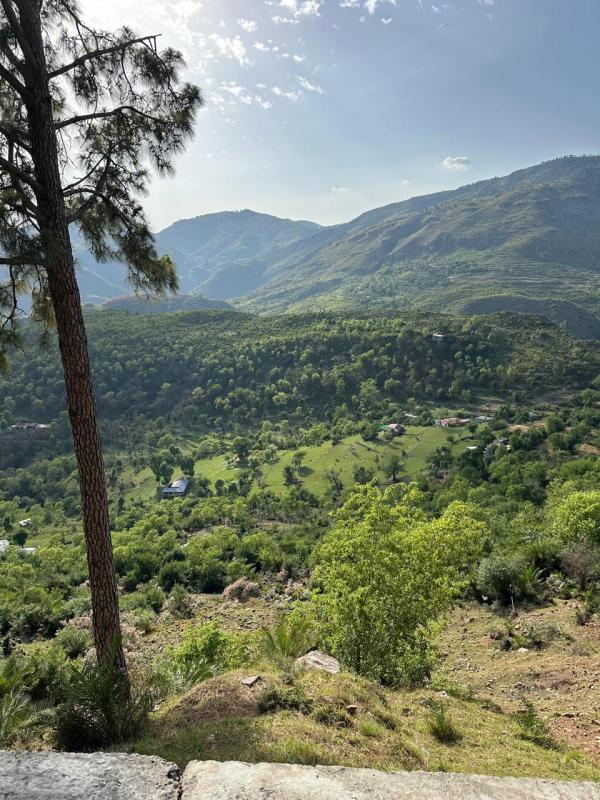 MUREE DREAM HOME