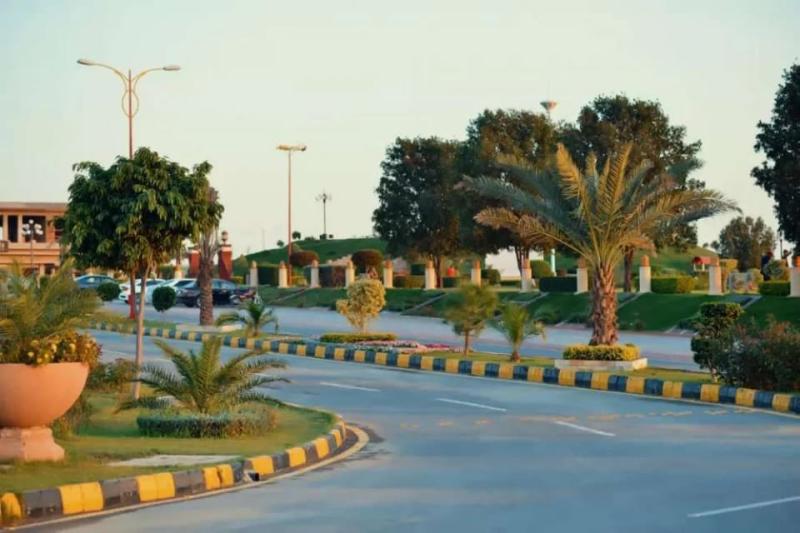 Image 6